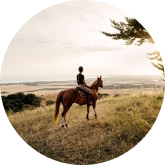 person riding a horse
