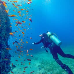 Shot from behind of a person scuba diving with fish
