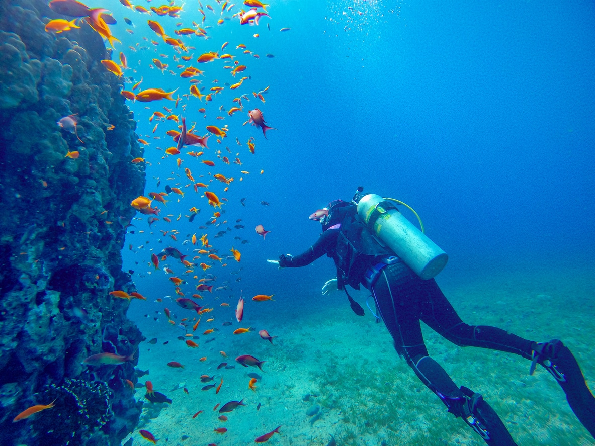 Shot from behind of a person scuba diving with fish